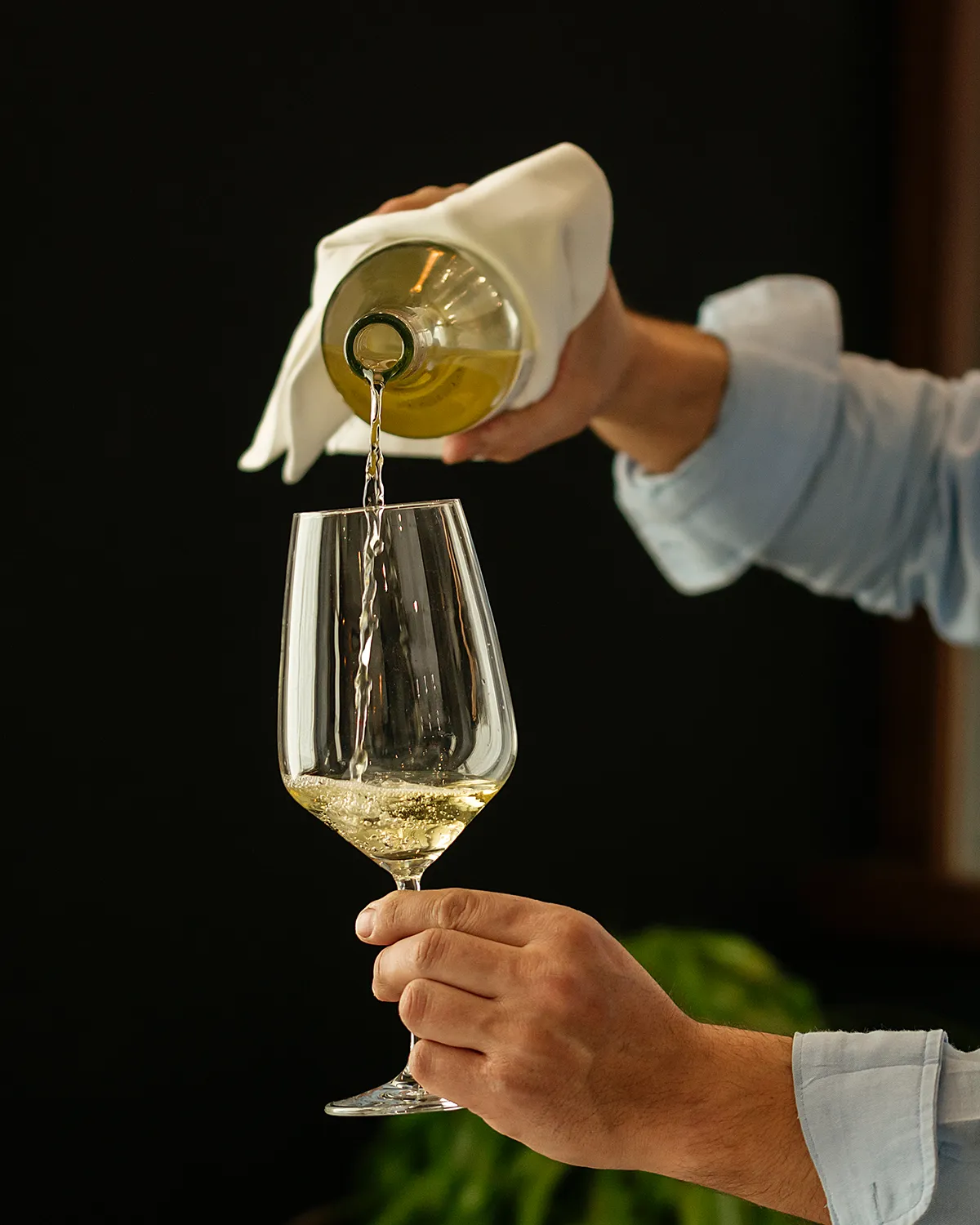 Brindis en Restaurante El Zaguán